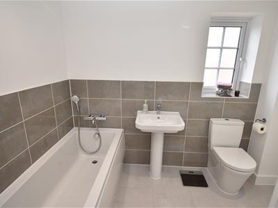 Picture 20
